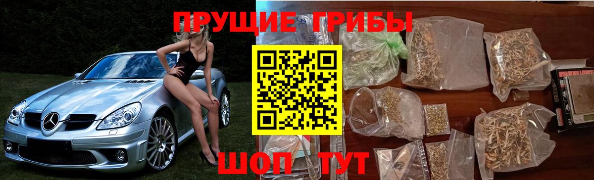 Галлюциногенные грибы Cubensis  Вход с VPN  Мурино 